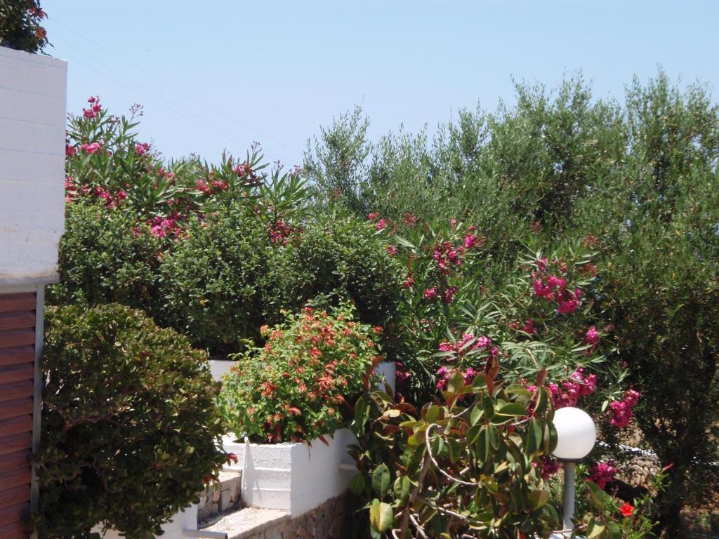 Chorafakia Villas Michalis المظهر الخارجي الصورة