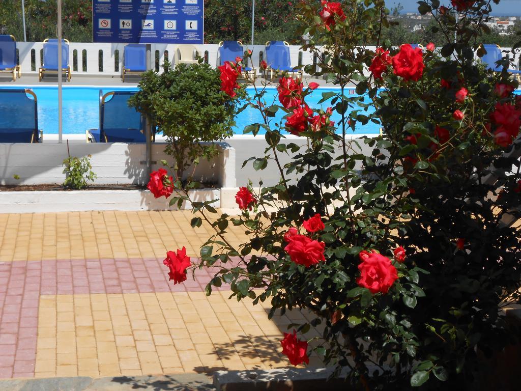 Chorafakia Villas Michalis المظهر الخارجي الصورة